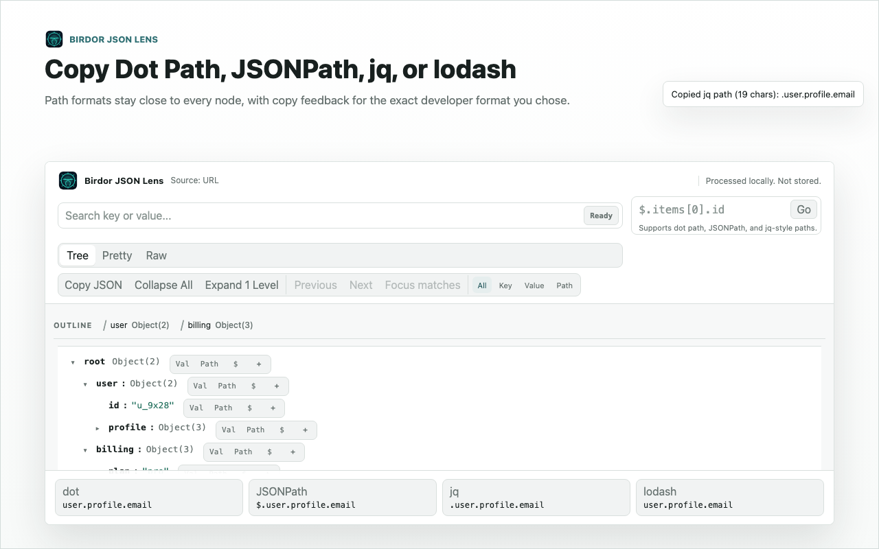 JSON Lens path copy menu showing dot path, JSONPath, jq, and lodash options.